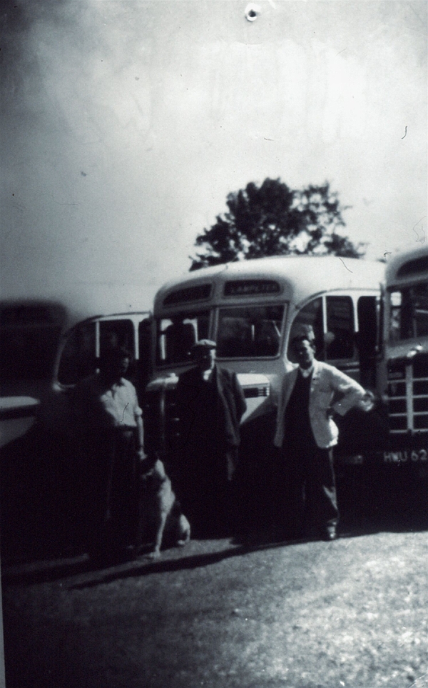 transport buses
